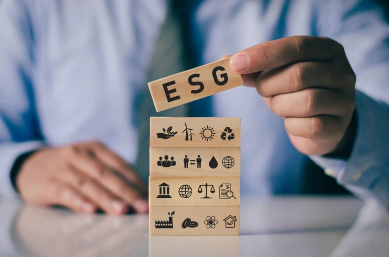 Como a ESG está presente na VS: Um compromisso com o Futuro Como a ESG está presente na VS: Um compromisso com o Futuro